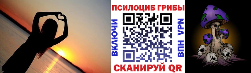 Галлюциногенные грибы Psilocybine cubensis  Купить  Североуральск 
